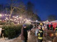 Baumverkauf_2022__14