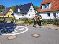 FEU-00-Hecke-09_05_2026__1
