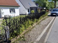 FEU-00-Hecke-09_05_2026__6