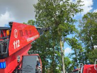 TH-K-00-06.08.2026-Florianweg-3-2