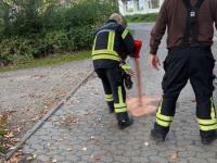 TH-K-AUST-05.10.2026-Ostseebad-Damp-2