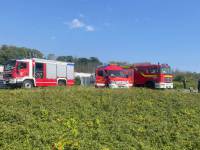 TH-Wasser-Waabs-30.07-1