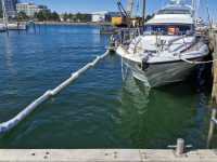 TH-Aust-W-2026_05_08__7