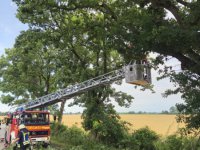 Unwetter-Juni-2026-38