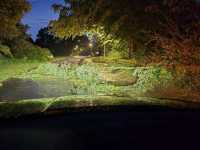 Unwetter-Juni-2026-40